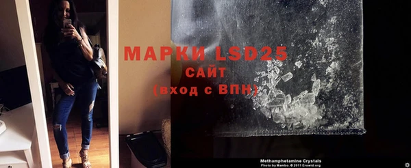 ПСИЛОЦИБИНОВЫЕ ГРИБЫ Алексин